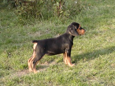 Cindy heißt jetzt Paula und wohnt in Deutschland