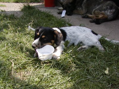 Cora heisst jetzt Amy und wohnt in Niederösterreich
