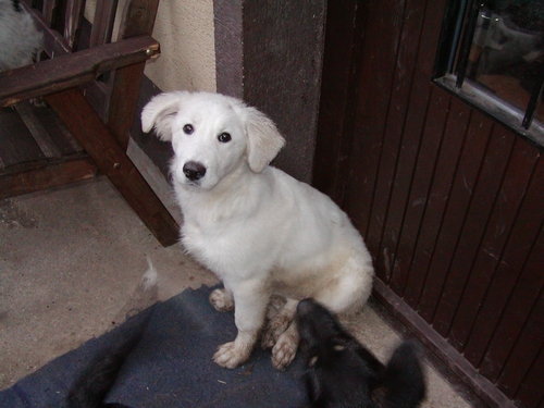 Gina wohnt in Niederösterreich