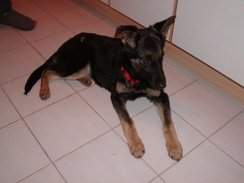 Helena wohnt in Niederösterreich