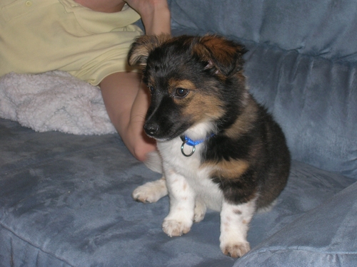 Lady wohnt in Niederösterreich