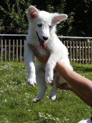 Mati wohnt in der Steiermark