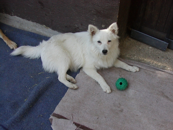 Mimi wohnt in der Steiermark