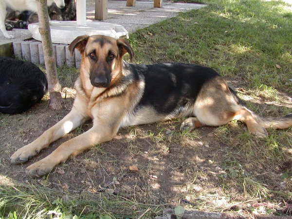 Nora wohnt in der Steiermark