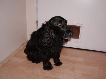 Tiffany wohnt in Niederösterreich