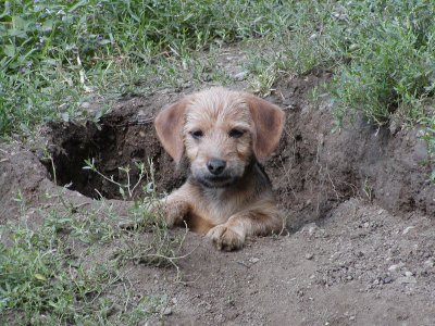 Tina heisst jetzt Carry und wohnt in Niederösterreich
