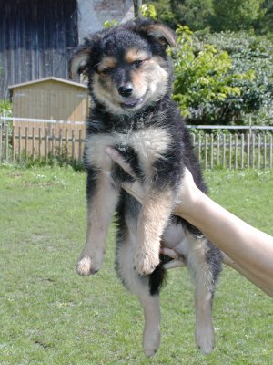 Wendy heißt jetzt Esti und wohnt in Niederösterreich
