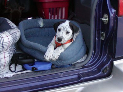 Winky heißt jetzt Knut und wohnt in Deutschland