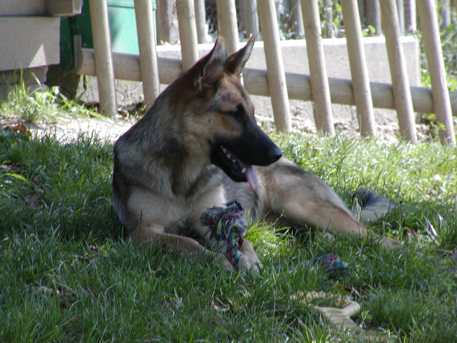 Alina heisst Lina und wohnt in Niederösterreich