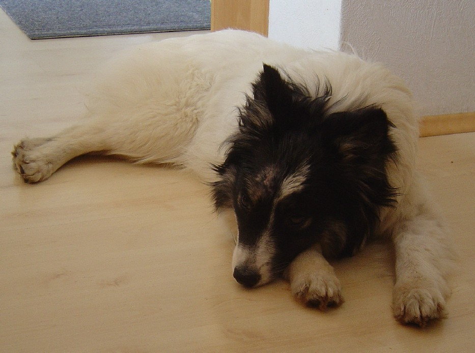 Ariel wird Ari gerufen und wohnt in Wien