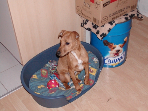 Ginny heisst Nikia und wohnt in der Steiermark