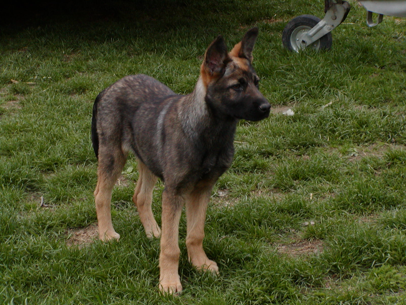 Ina wohnt in Oberösterreich