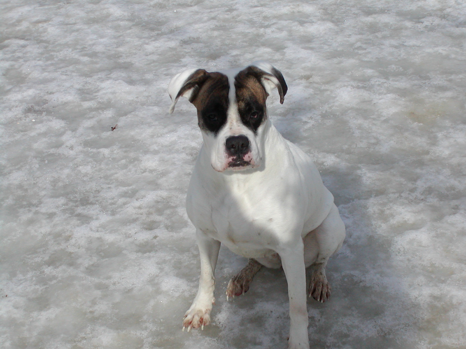 Klaudia heisst Boney und wohnt in Niederösterreich