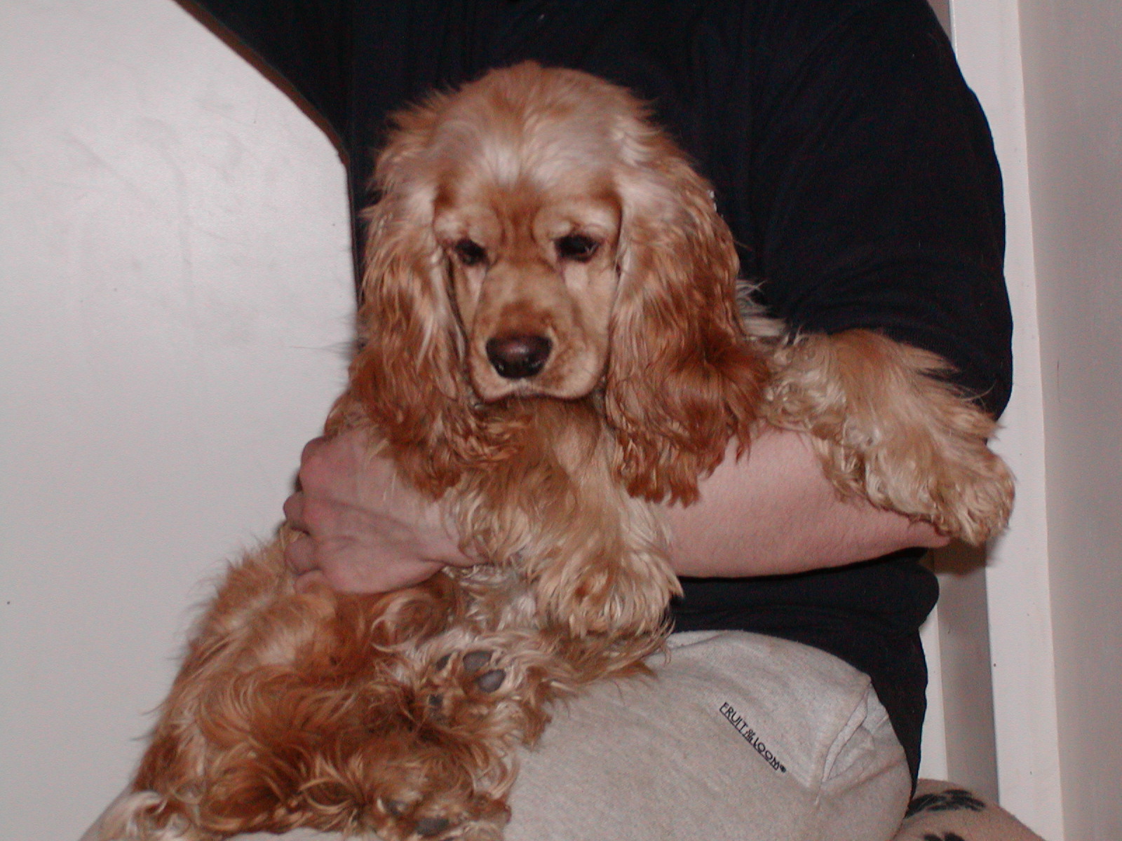 Leni wohnt in Niederösterreich