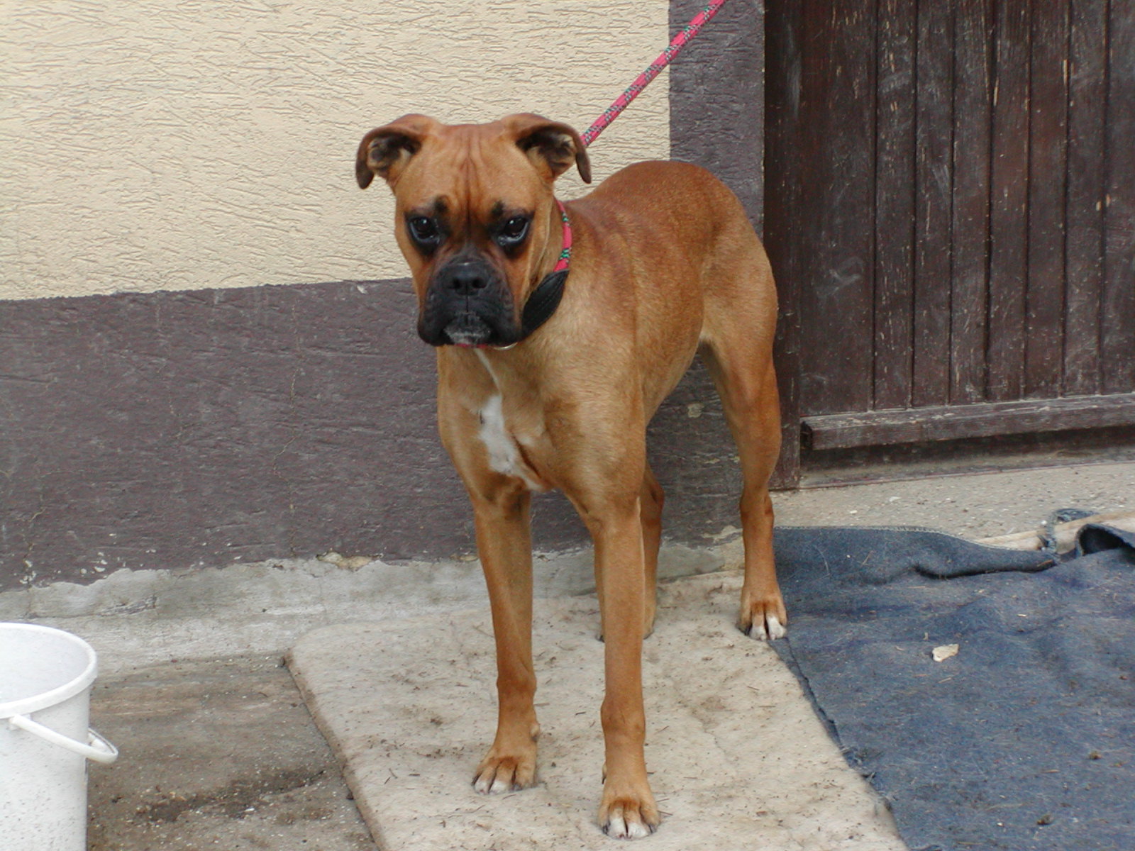 Mandy heisst Ranna und wohnt in der Steiermark