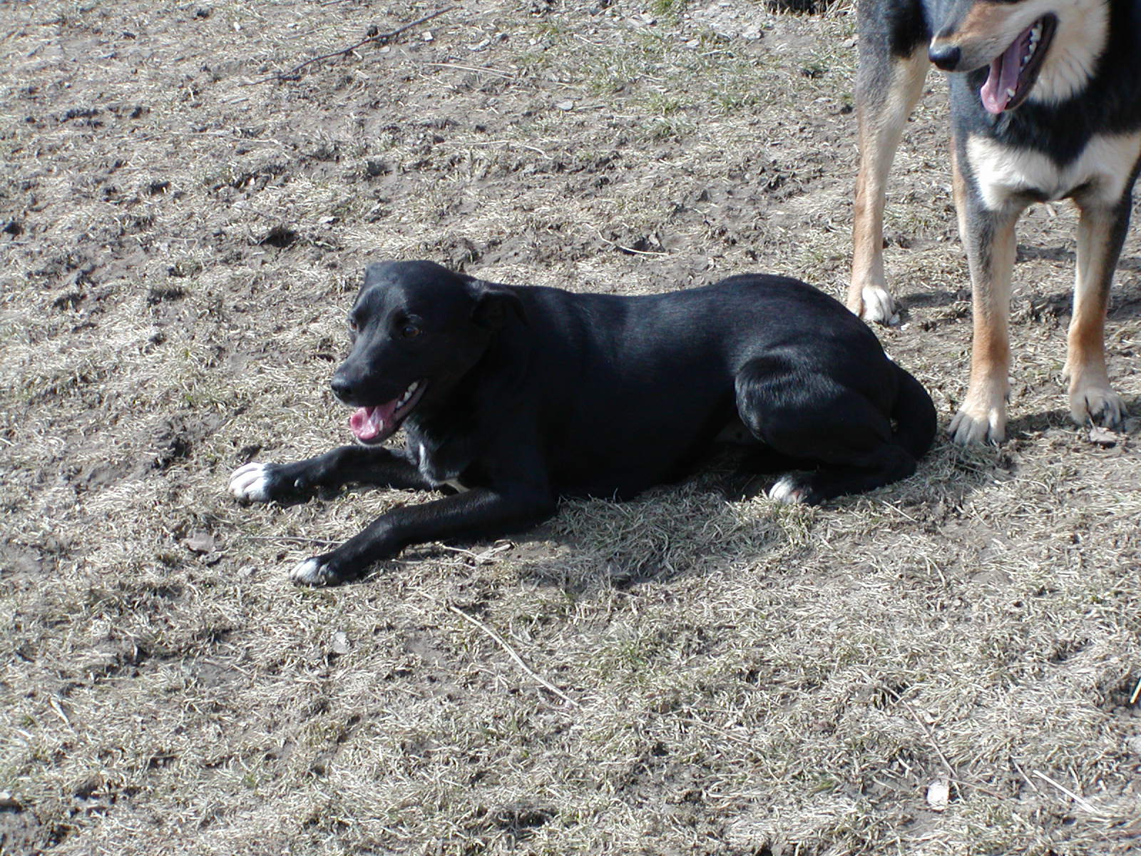 Tera wohnt in Niederösterreich