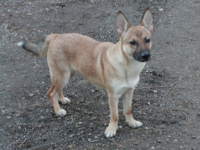 Jenny wohnt in Niederösterreich