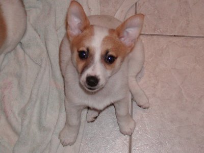 Marcie wohnt in der Steiermark