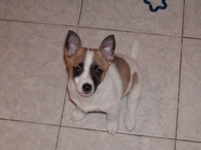 Sally wohnt in Tirol