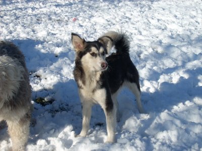 Xena wohnt in der Steiermark