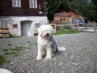 April wohnt in der Steiermark
