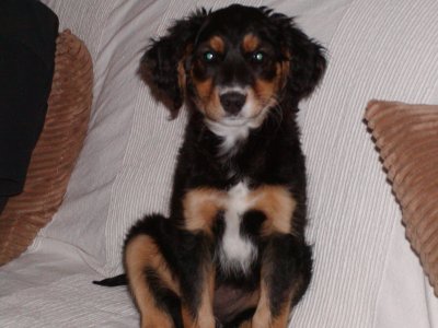 Elli heisst Akira und wohnt in der Steiermark