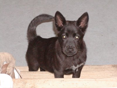 Gustav heisst Diego und wohnt in Niederösterreich