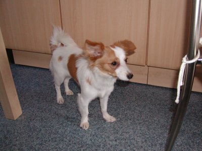 Lola wohnt in der Steiermark