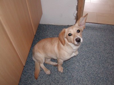 Maja wohnt in der Steiermark