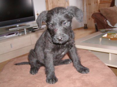 Max wohnt in der Steiermark