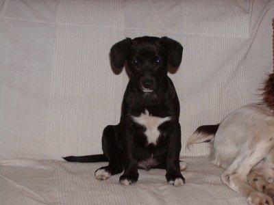 Micky heisst Mithri und wohnt in der Steiermark