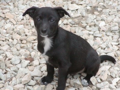 Minni heisst Luna und wohnt in der Steiermark