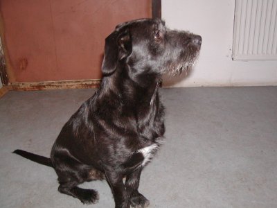 Moritz wohnt in Wien