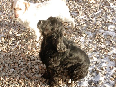 Nelly wohnt in der Steiermark