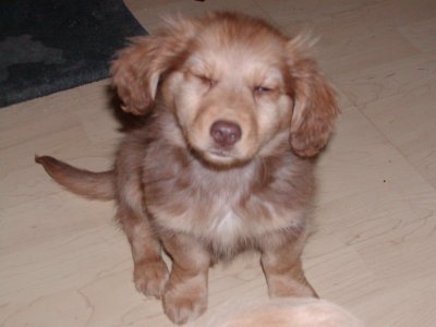 Emily wohnt in der Steiermark