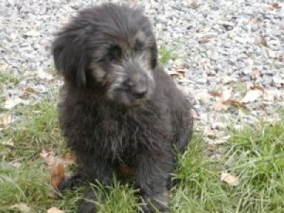 Aragon heisst Santiago und wohnt in Wien