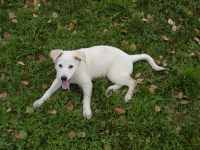 Aida heisst Aby und wohnt in Niederösterreich