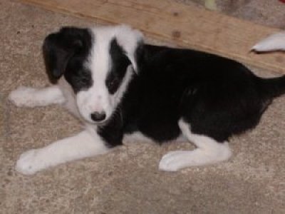 Wendy heisst Nikita und wohnt in Kärnten