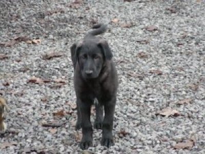 Weeny heisst Emily und wohnt in der Steiermark