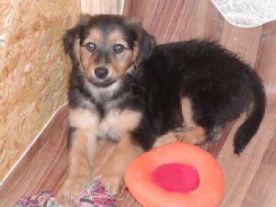 Alina wohnt in der Steiermark