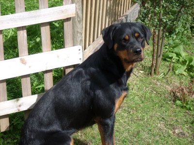 Carmen wohnt in der Steiermark