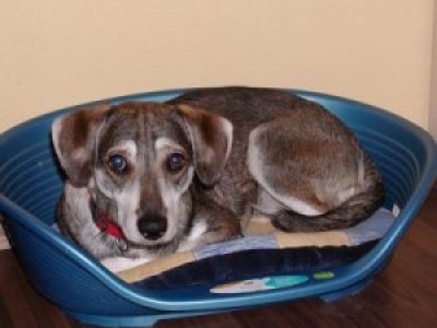 Fini wohnt in der Steiermark