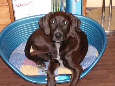 Gina wohnt in der Steiermark