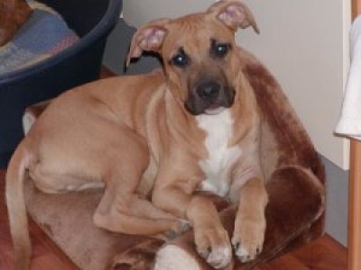 Leon wohnt in der Steiermark