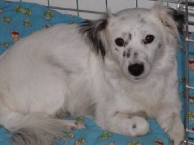 Lilly wohnt in Oberösterreich