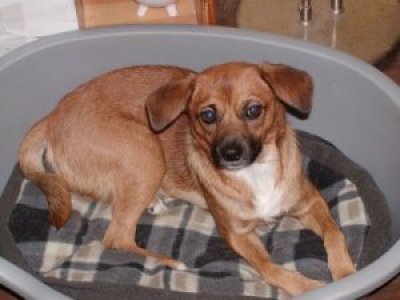 Mimi wohnt in der Steiermark