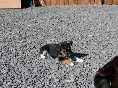 Amanda heisst Amy und wohnt in der Steiermark