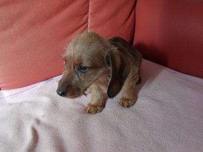 Zoe heisst Lilly und wohnt in der Steiermark