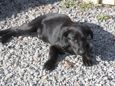 Murphy heisst Sick und wohnt in der Steiermark und Deutschland