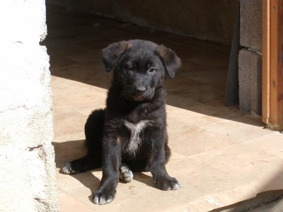 Paige heisst Lin und wohnt in der Steiermark